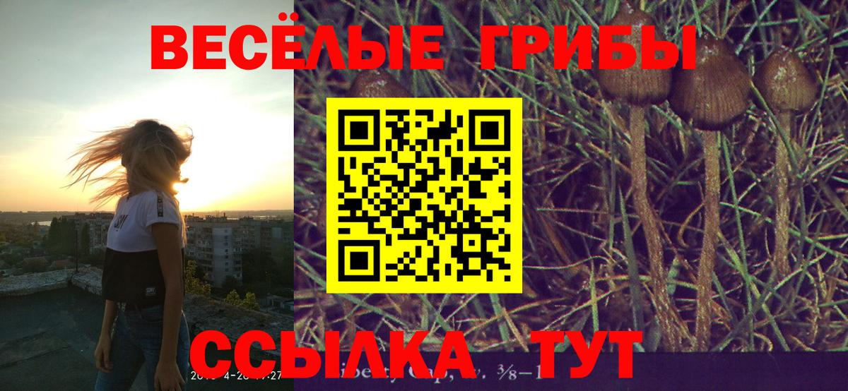 Краснодар  Псилоцибиновые грибы Psilocybe  Вход с VPN  сколько стоит  Псилоцибиновые грибы Psilocybe 