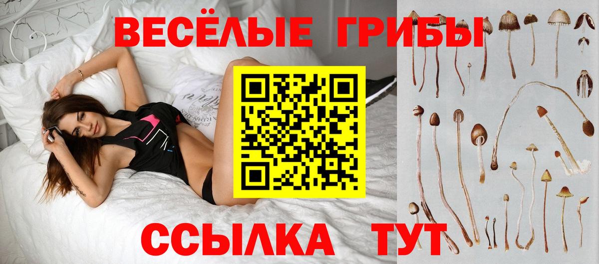 Галлюциногенные грибы мухоморы Краснодар